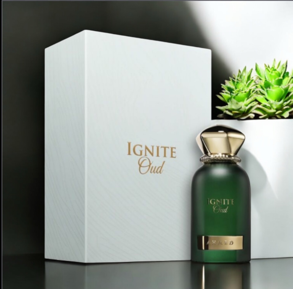 Ahmed Maghribi Ignite Oud EDP 60ml