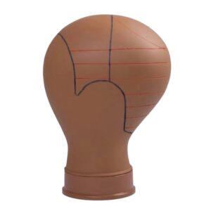 POLYMER CANVAS HEAD