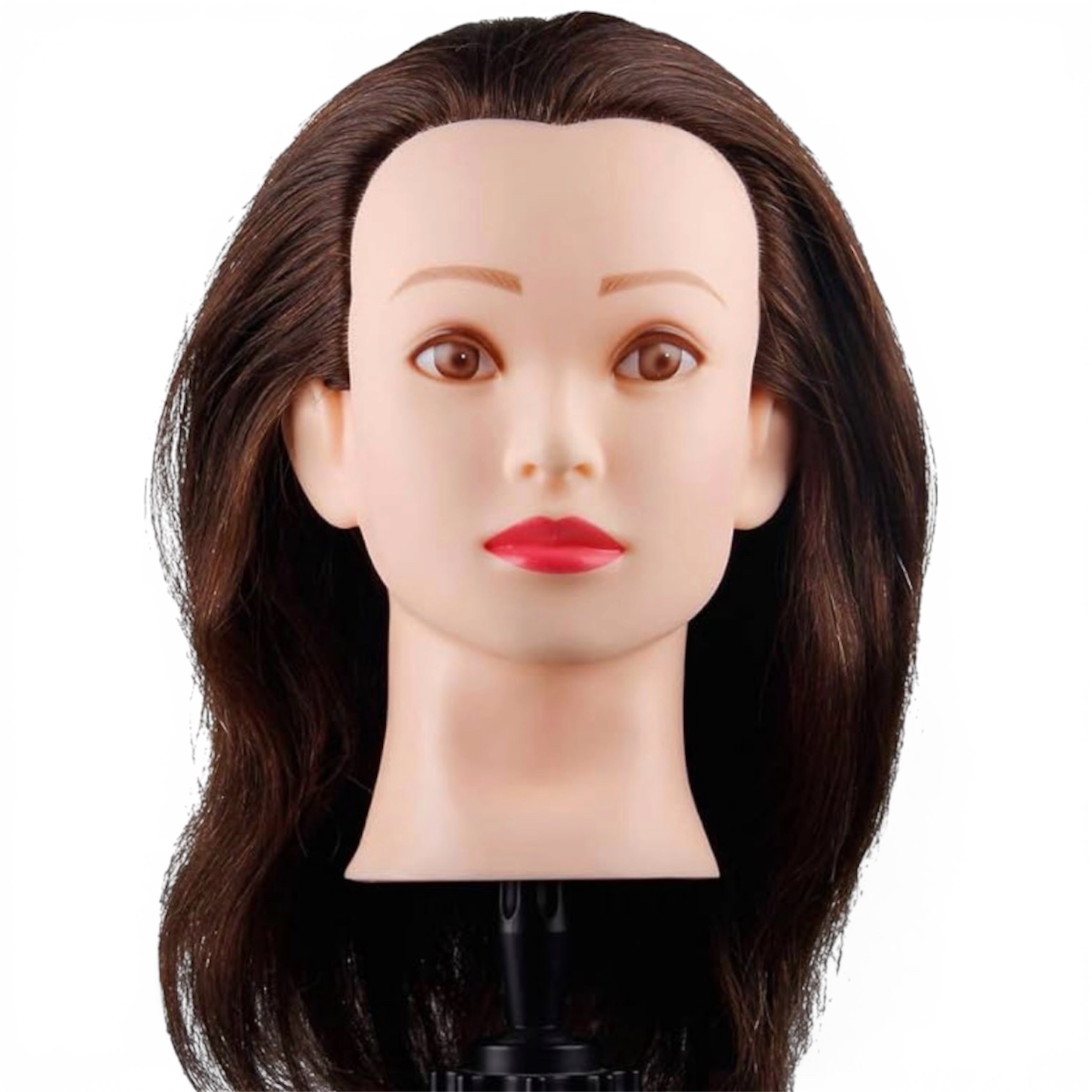 Mannequin Head with Human Hair